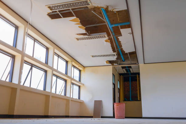 Best Ceiling water damage repair  in Gretna, VA