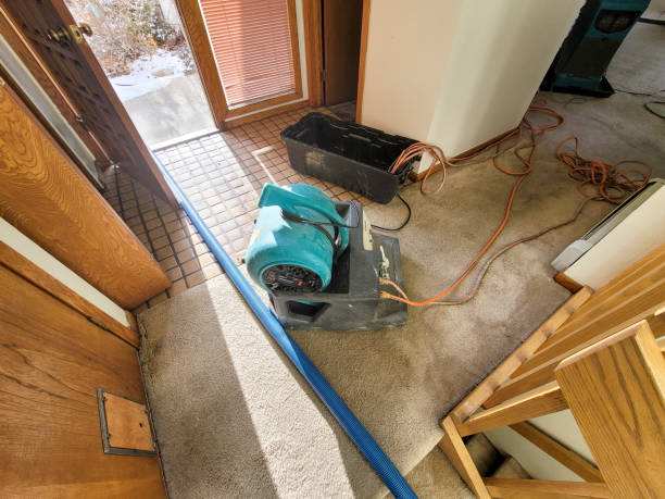 Best Flood restoration services  in Gretna, VA