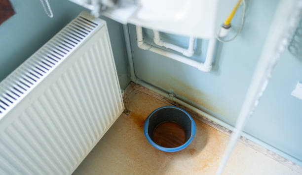 Best Flood restoration services  in Gretna, VA