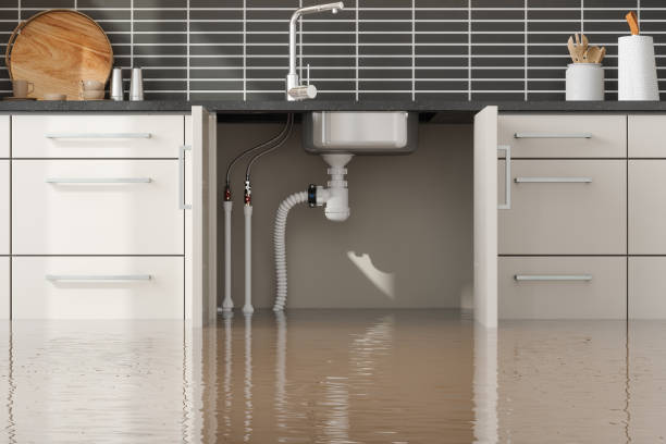 Best Fire Damage Restoration  in Gretna, VA