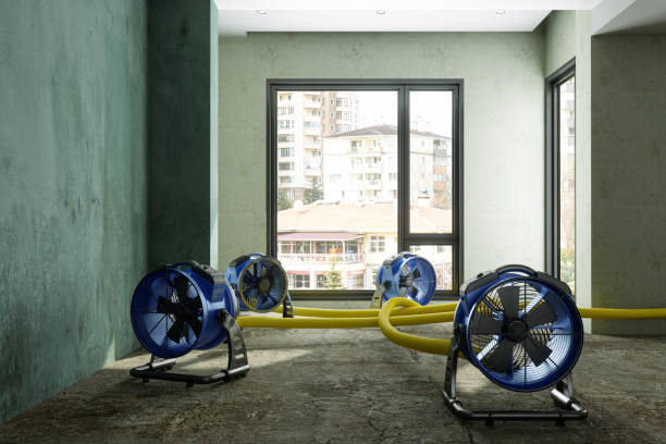 Reliable Gretna, VA Water damage restoration Solutions