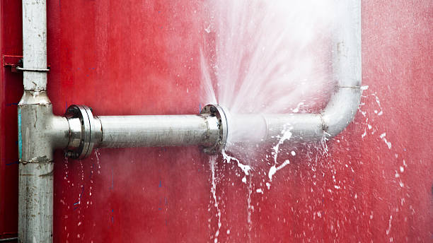 Best Carpet water damage restoration  in Gretna, VA